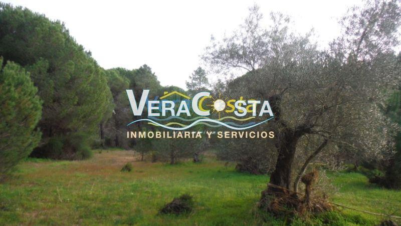 For sale of land in Villablanca