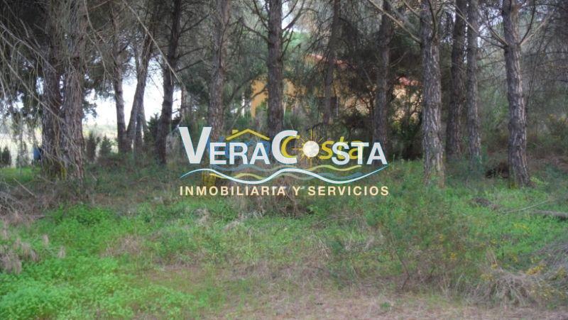 For sale of land in Villablanca