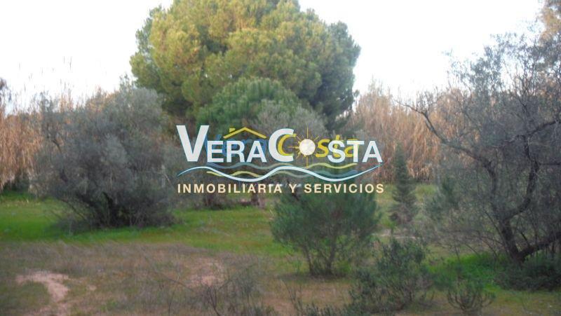 For sale of land in Villablanca