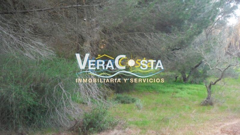 For sale of land in Villablanca