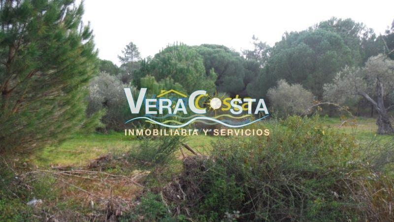 For sale of land in Villablanca