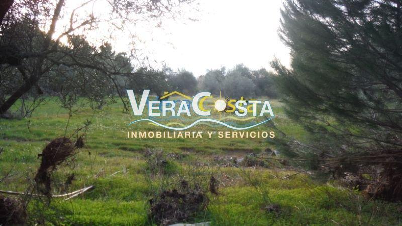 For sale of land in Villablanca