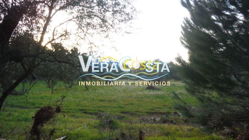 For sale of land in Villablanca