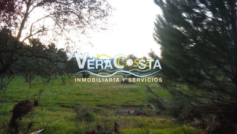 For sale of land in Villablanca