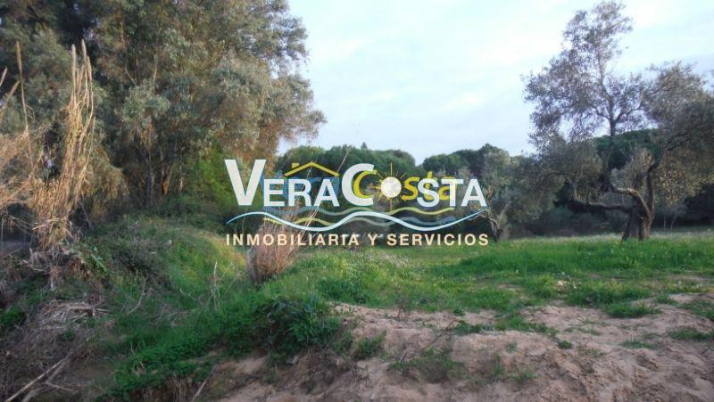 Venta de finca rústica en Villablanca