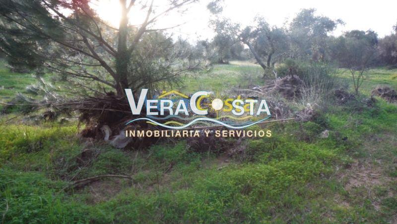 Venta de finca rústica en Villablanca