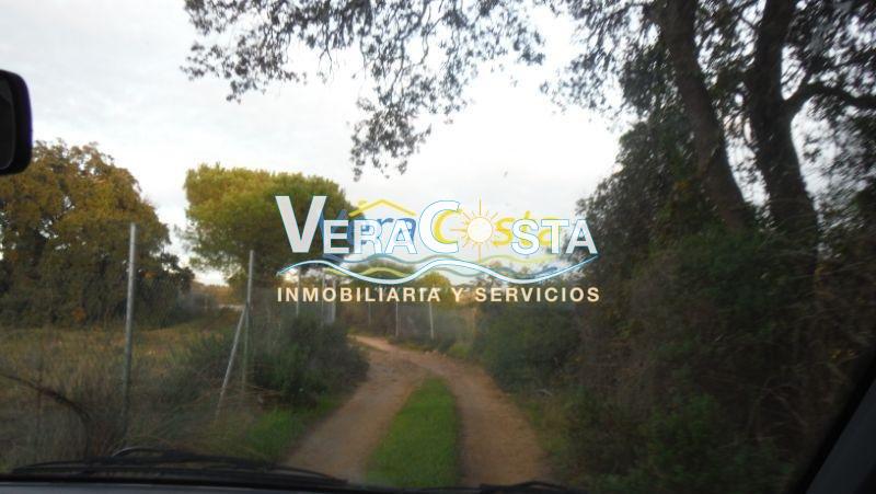 Venta de finca rústica en Villablanca