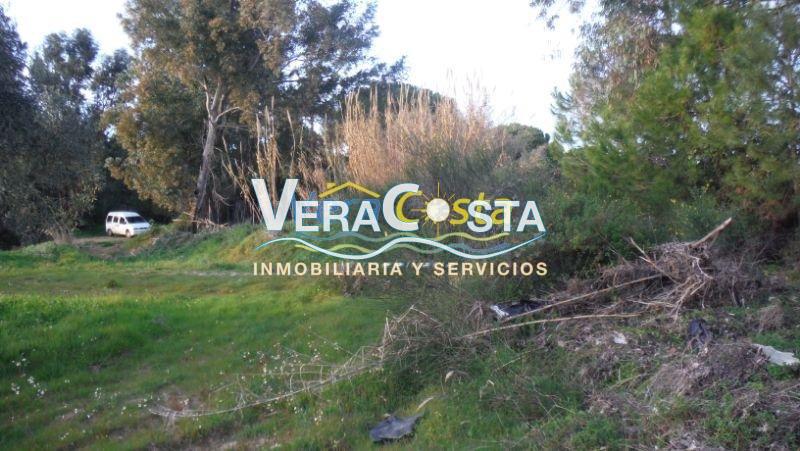 Venta de finca rústica en Villablanca