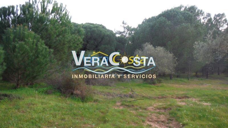 Venta de finca rústica en Villablanca