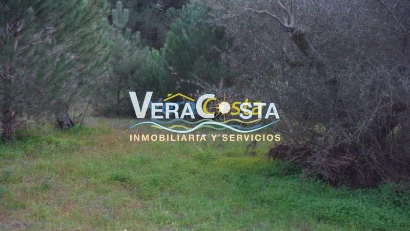 Venta de finca rústica en Villablanca