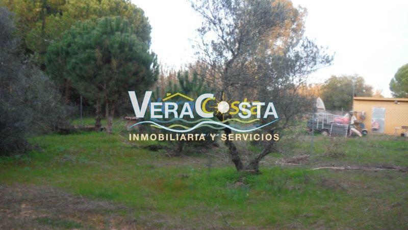 For sale of rural property in Villablanca