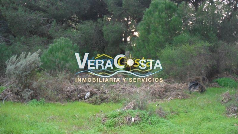 Venta de finca rústica en Villablanca