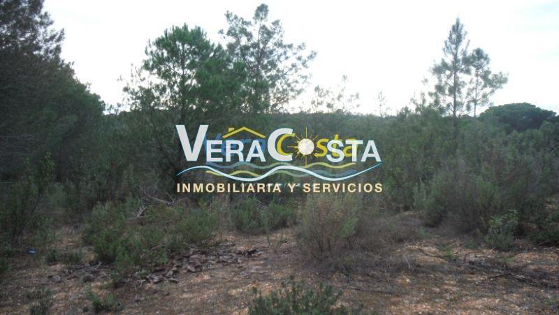 Venta de finca rústica en Villablanca