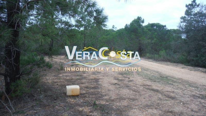 Venta de finca rústica en Villablanca