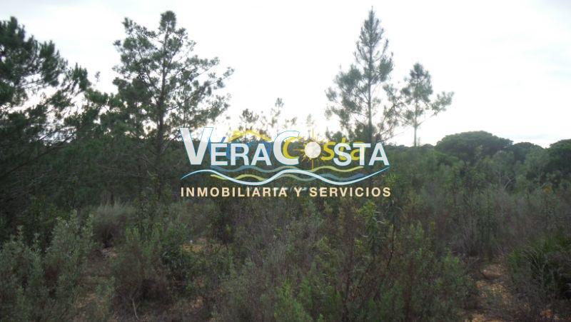 Venta de finca rústica en Villablanca