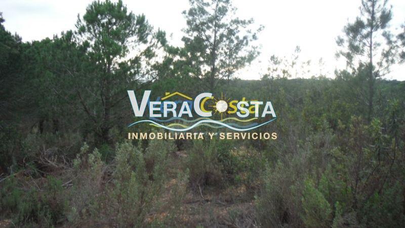 Venta de finca rústica en Villablanca