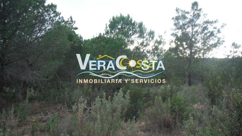 Venta de finca rústica en Villablanca