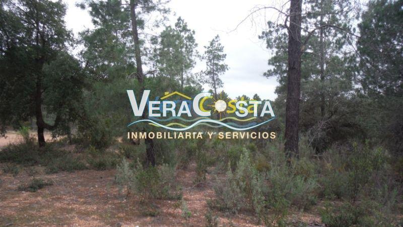 For sale of rural property in Villablanca