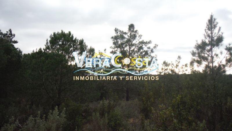 For sale of rural property in Villablanca