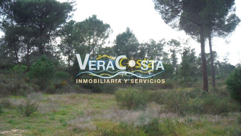 Venta de finca rústica en Villablanca