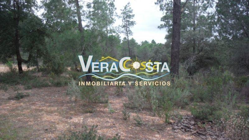 Venta de finca rústica en Villablanca