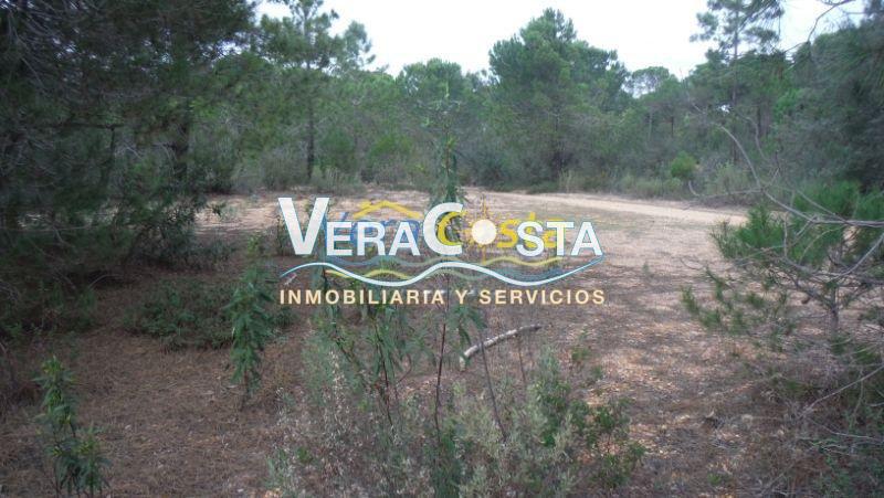 Venta de finca rústica en Villablanca