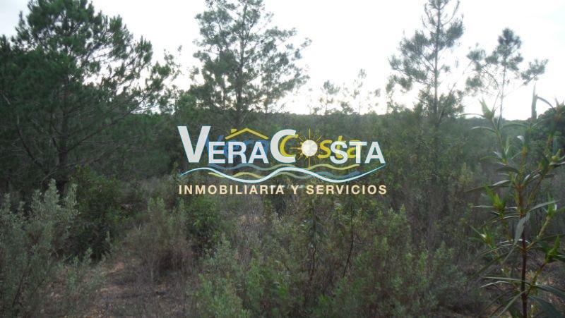 Venta de finca rústica en Villablanca