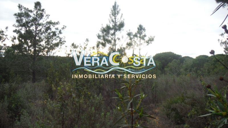 Venta de finca rústica en Villablanca