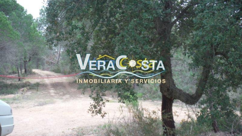 Venta de finca rústica en Villablanca