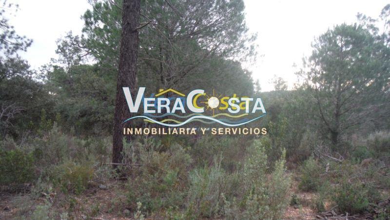 Venta de finca rústica en Villablanca