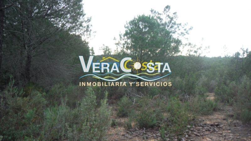 Venta de finca rústica en Villablanca