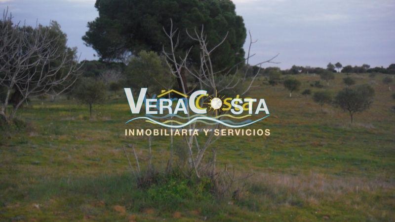 For sale of land in Isla Cristina