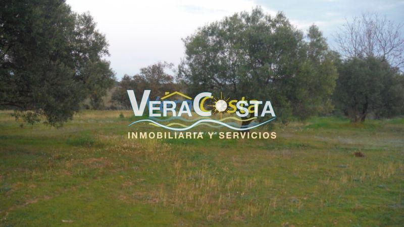 For sale of land in Isla Cristina