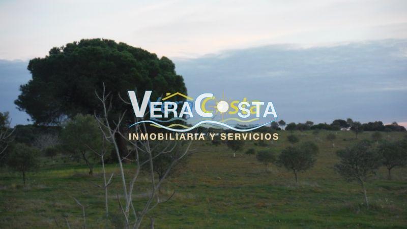 For sale of land in Isla Cristina