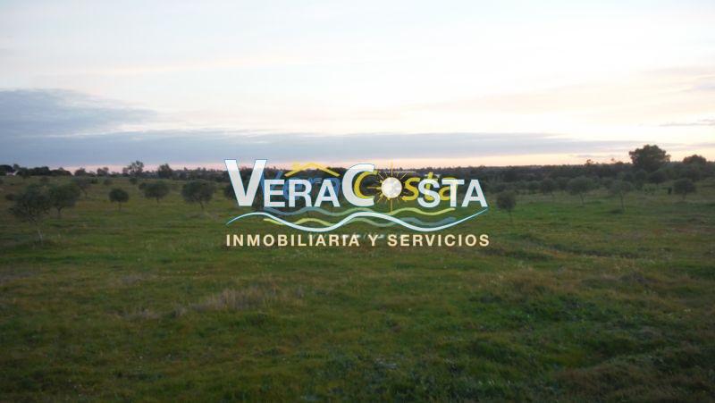 For sale of land in Isla Cristina