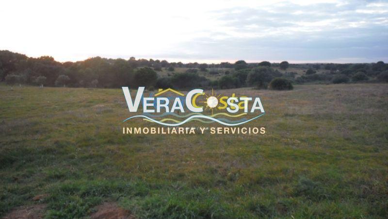 For sale of land in Villablanca