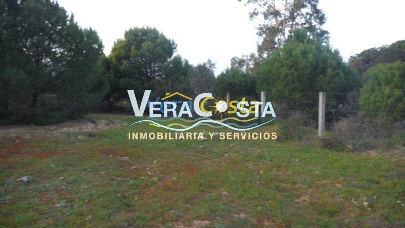 For sale of land in Villablanca