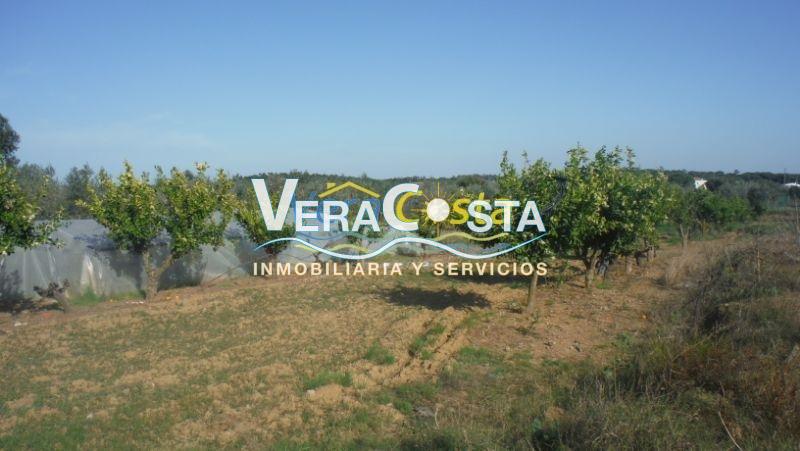 Venta de finca rústica en Villablanca