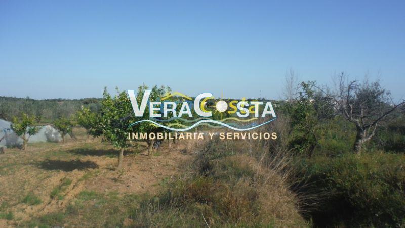 Venta de finca rústica en Villablanca
