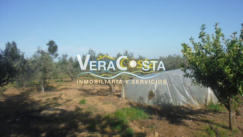 Venta de finca rústica en Villablanca