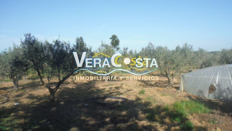 Venta de finca rústica en Villablanca