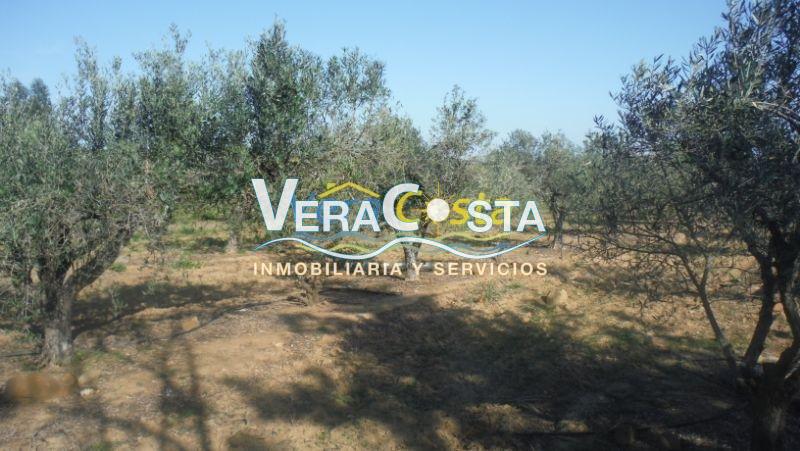 Venta de finca rústica en Villablanca