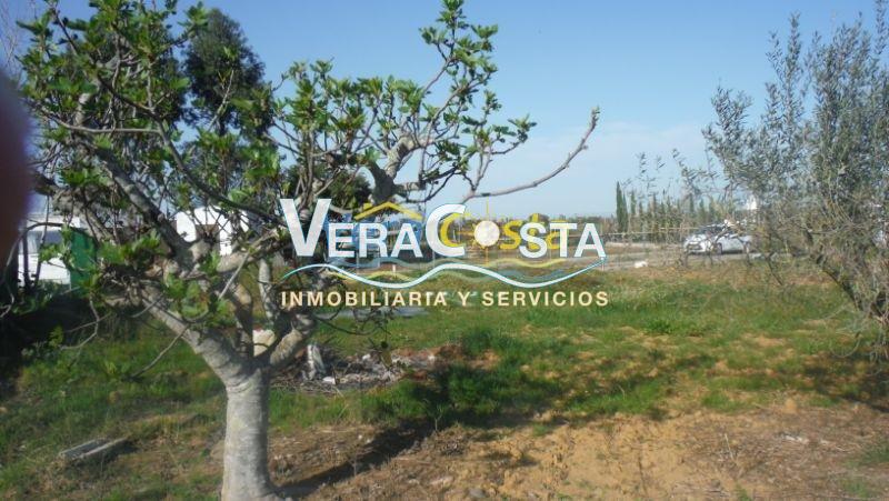 Venta de finca rústica en Villablanca