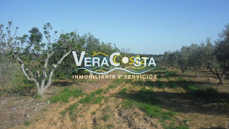 Venta de finca rústica en Villablanca