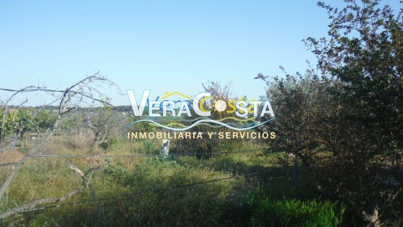 Venta de finca rústica en Villablanca