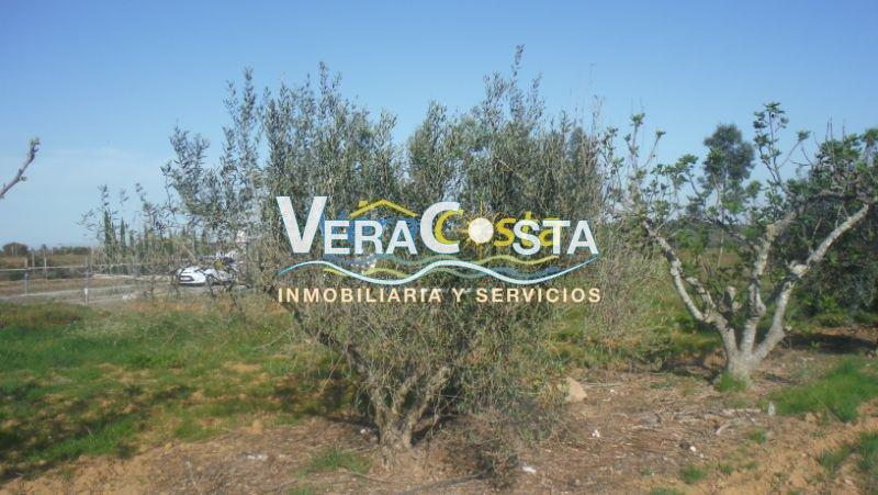 Venta de finca rústica en Villablanca