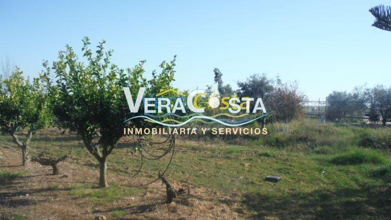 Venta de finca rústica en Villablanca