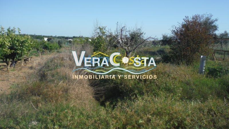 Venta de finca rústica en Villablanca