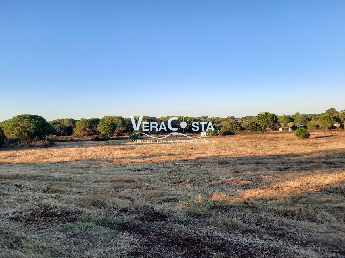 For sale of rural property in Villablanca