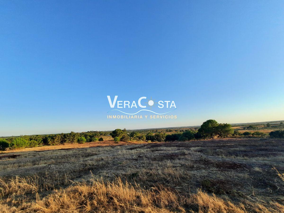 For sale of rural property in Villablanca
